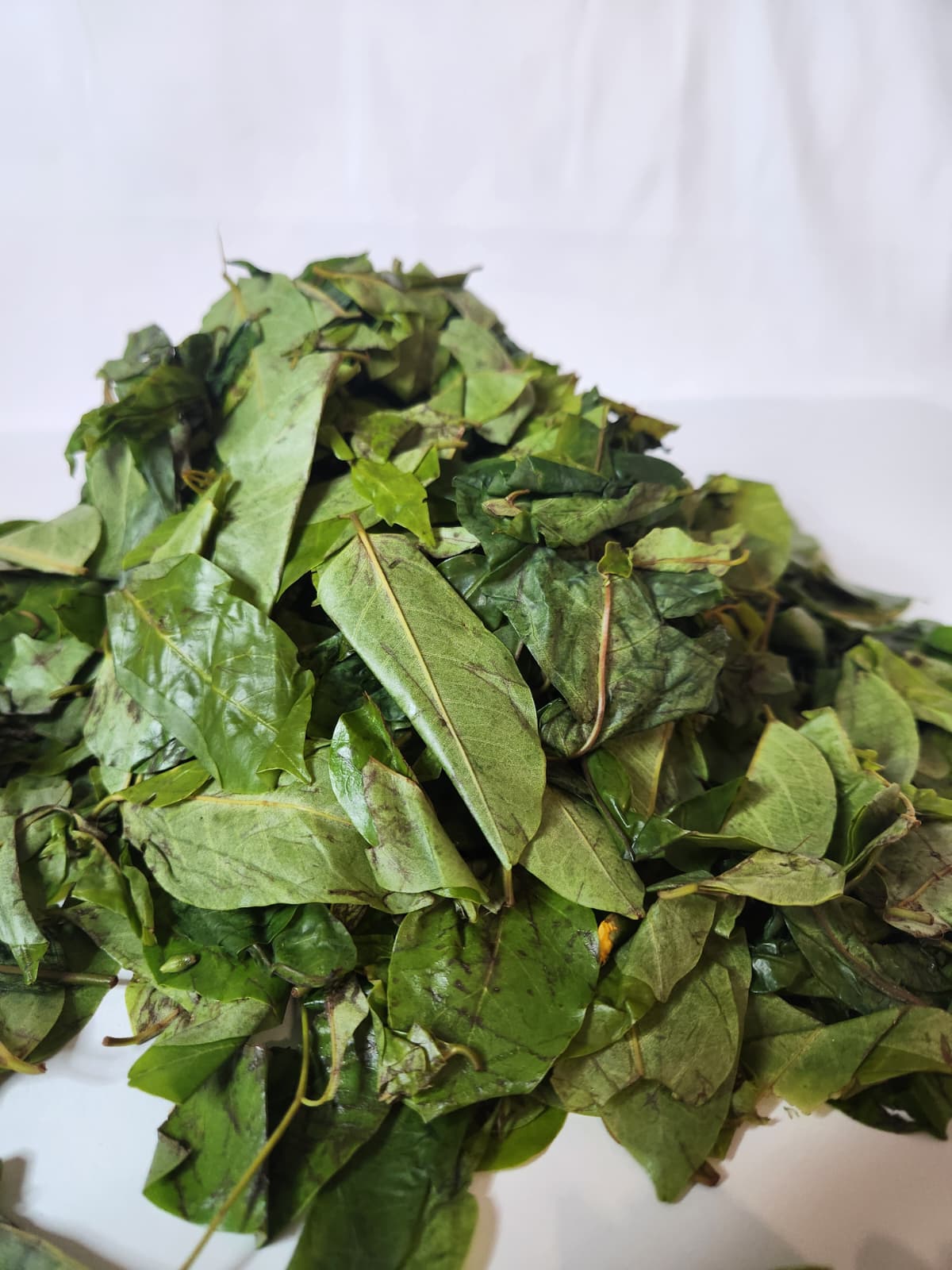 Fresh Oha Leaves (African Rosewood) — Essential for Ofe Oha
