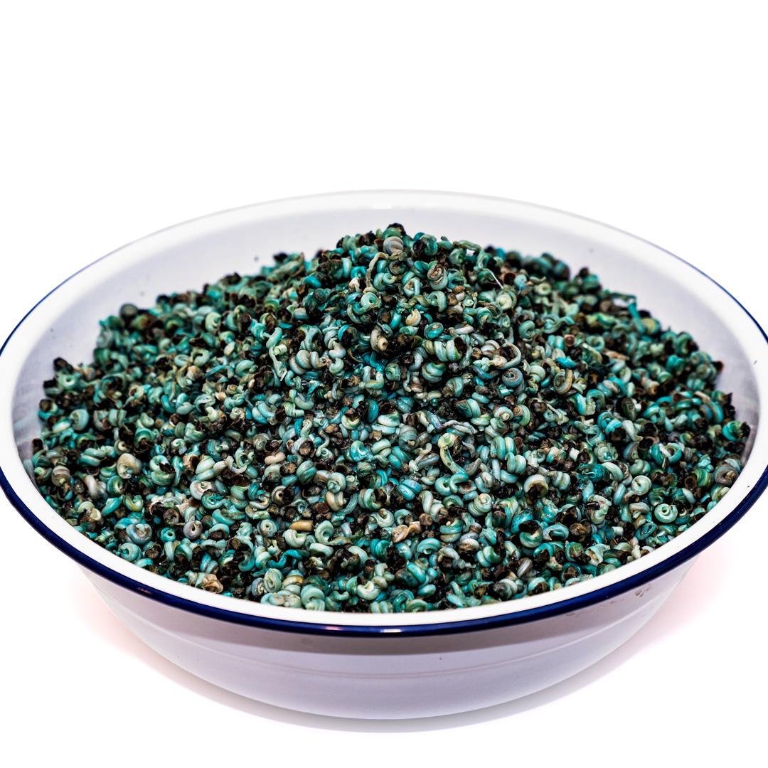 Fresh Periwinkle (Isam) — Nigerian Seafood Delicacy