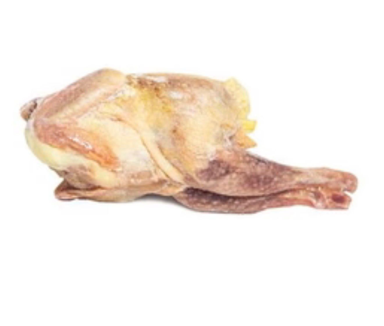 Stewing Hen / Hard Chicken