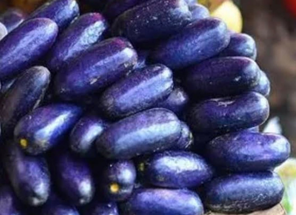 Fresh Nigerian Ube (African Pear / African Plum) 10 piece/ pack
