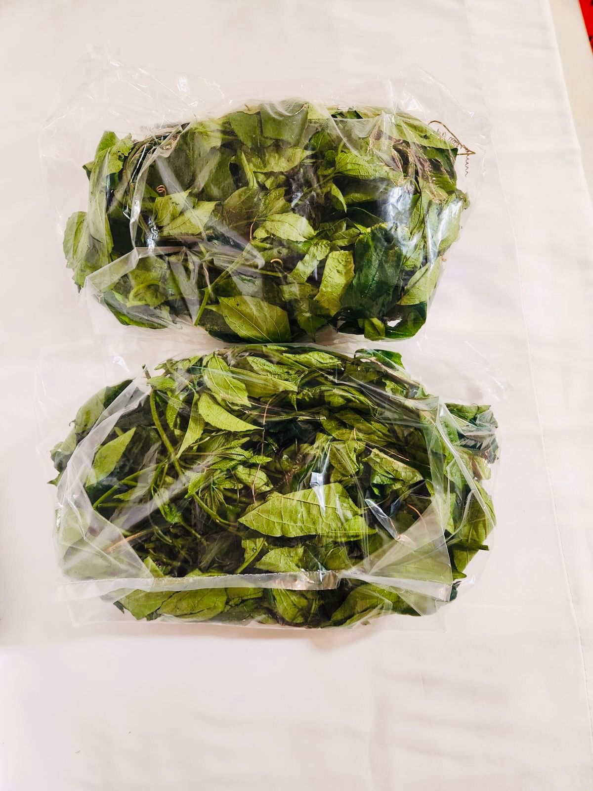 Fresh Ugu Leaves (Fluted Pumpkin) — Essential for Edikang Ikong