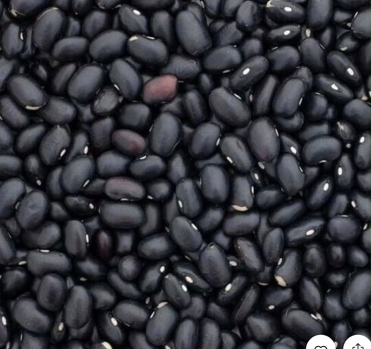 Akidi Igbo / Nigerian Black Beans 4lbs/Pack