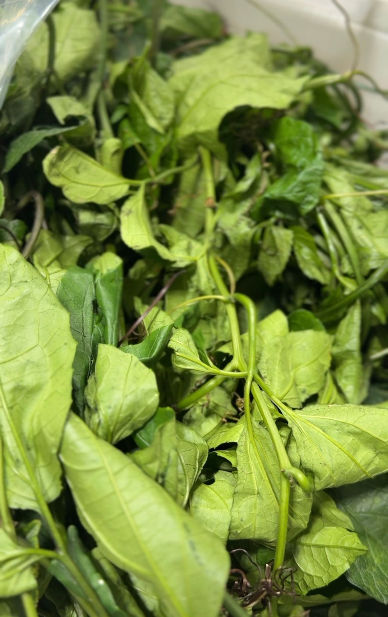 Fresh Ugu Leaves (Fluted Pumpkin) — Essential for Edikang Ikong