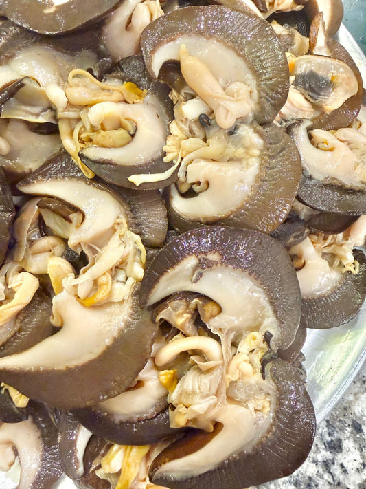 Giant African Snails (Eju / Igbin) — Jumbo Meaty Snails