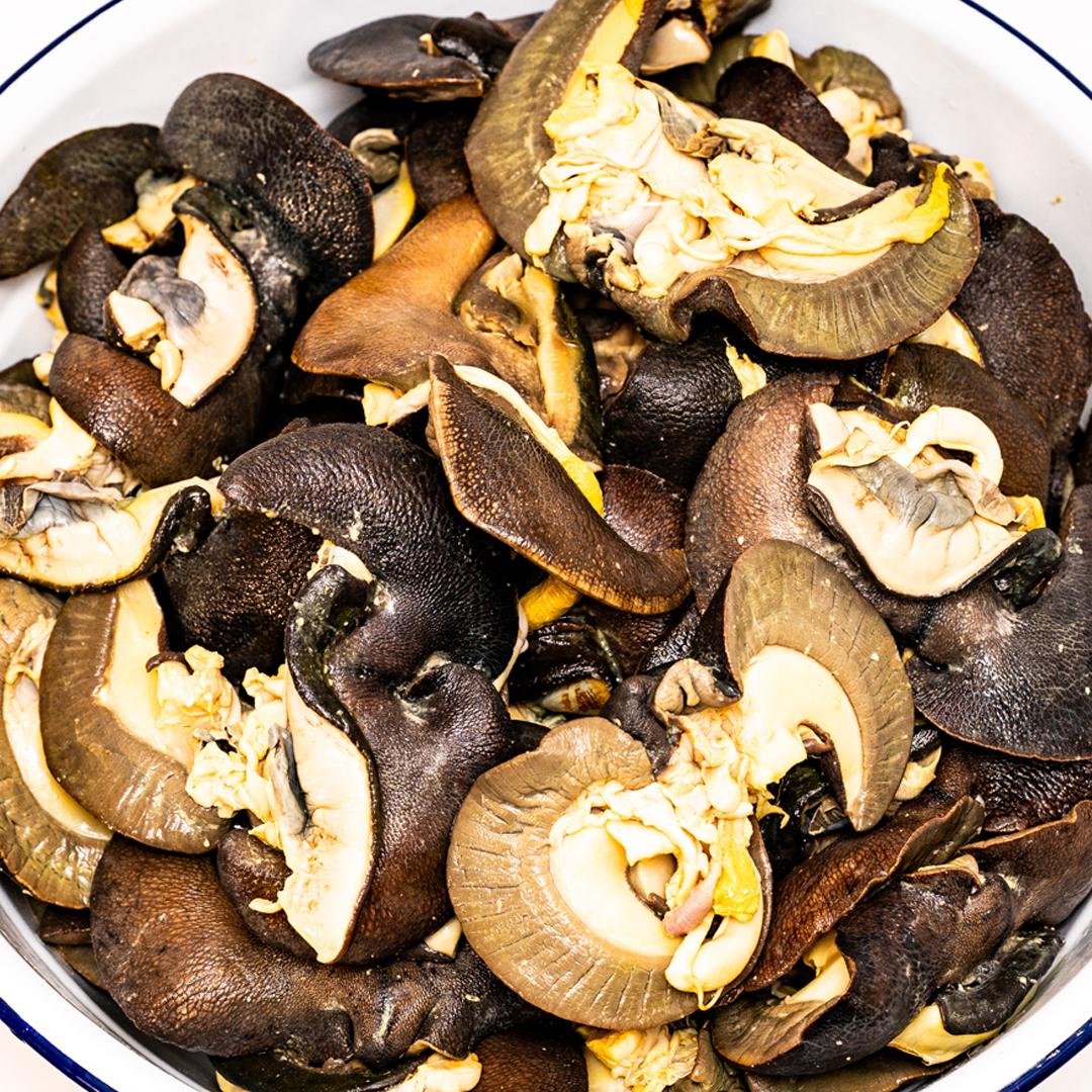 Giant African Snails (Eju / Igbin) — Jumbo Meaty Snails
