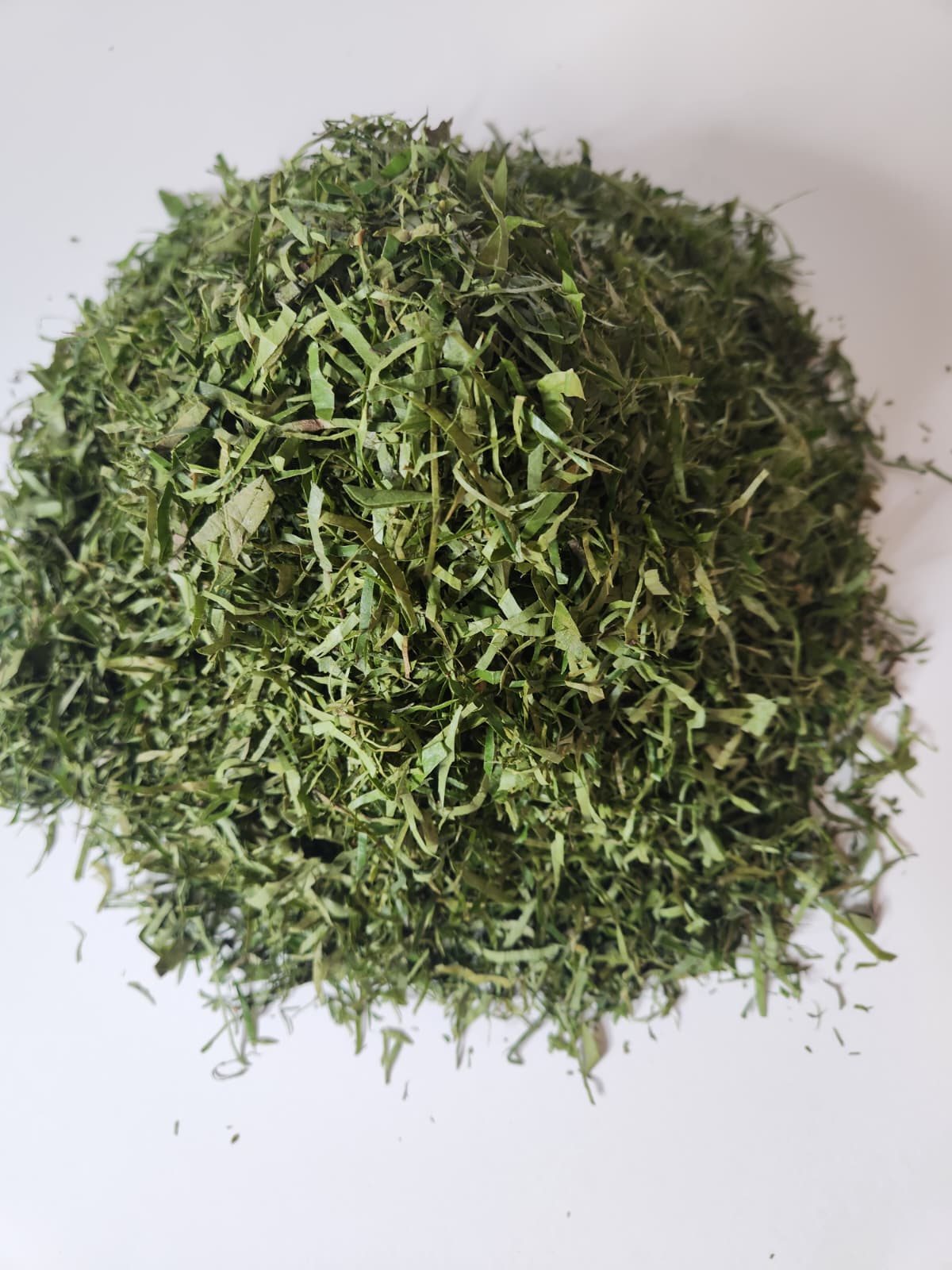 Fresh Uziza Leaves — Peppery & Aromatic Nigerian Herb