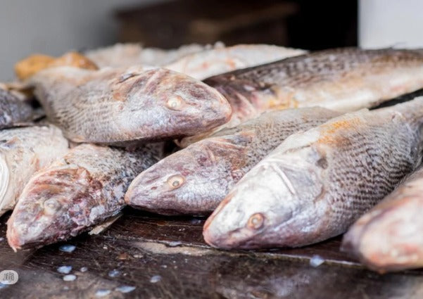Whole White Croaker Fish – Frozen 2 lb Pack | Shipped with Ice Packs